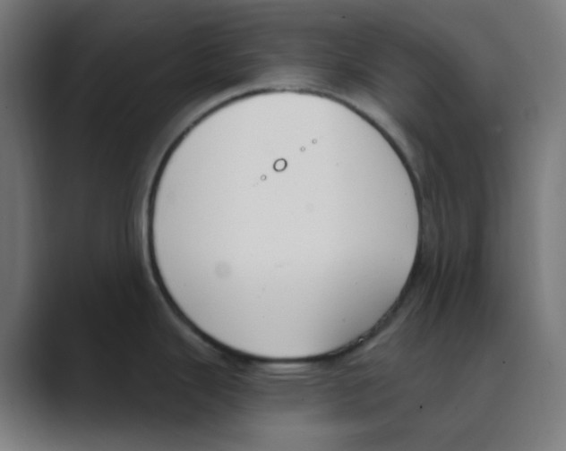 X0000088491343200706191418