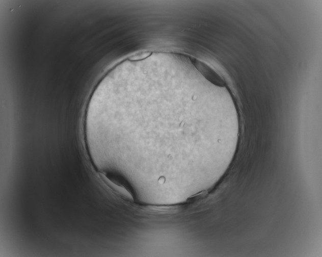 X0000088491344200706191418