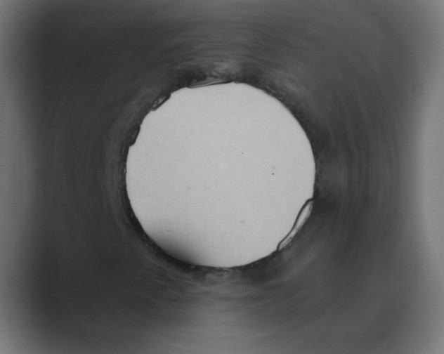 X0000088491345200706191417