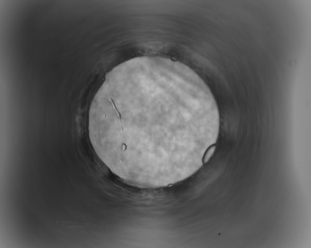 X0000088491346200706191417