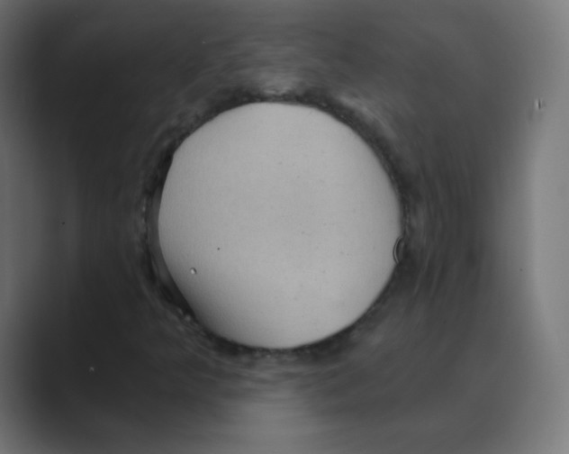 X0000088491349200706191417