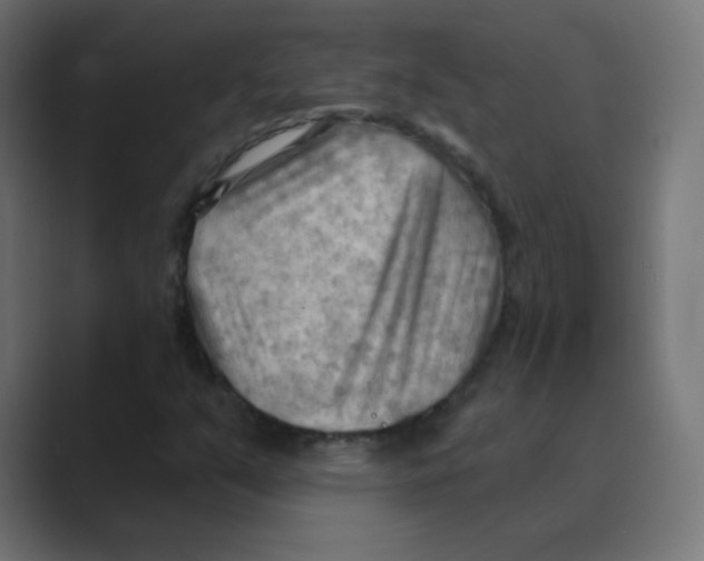 X0000088491351200706191417