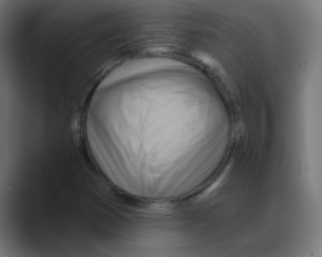 X0000088491353200706191417