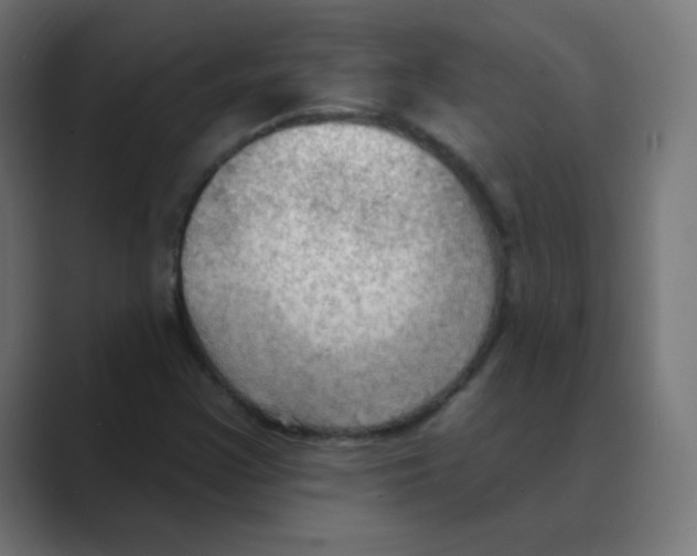 X0000088491355200706191417