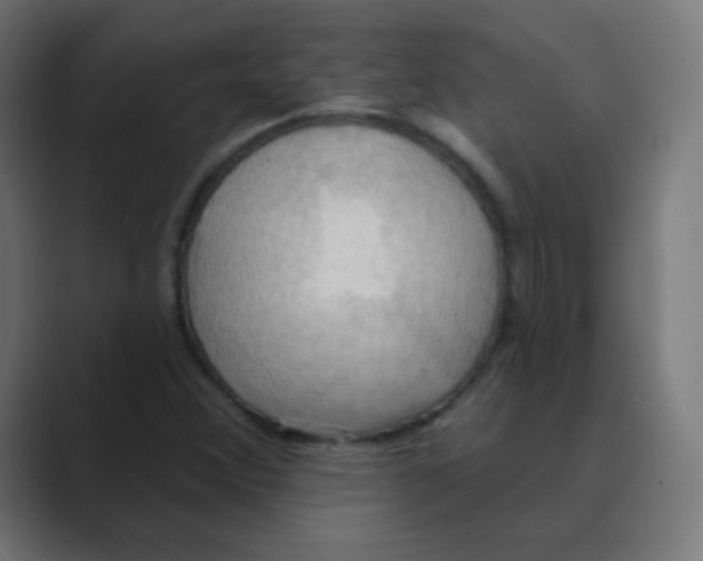 X0000088491356200706191417
