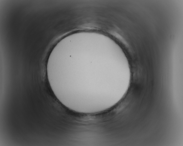 X0000088491358200706191417
