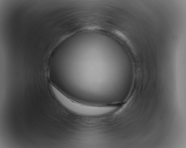 X0000088491361200706191417