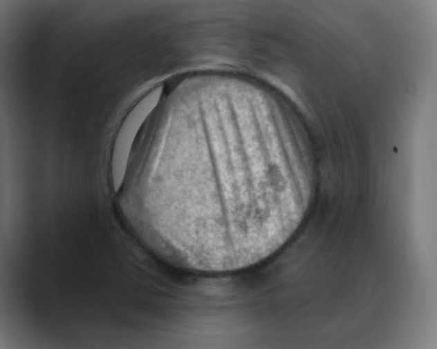 X0000088491363200706191417