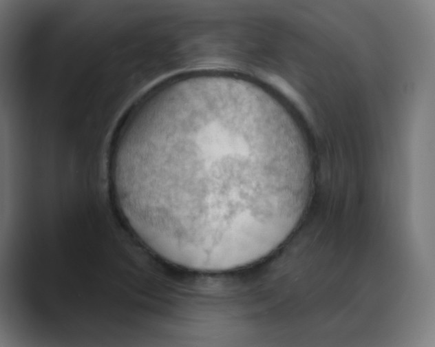 X0000088491364200706191417