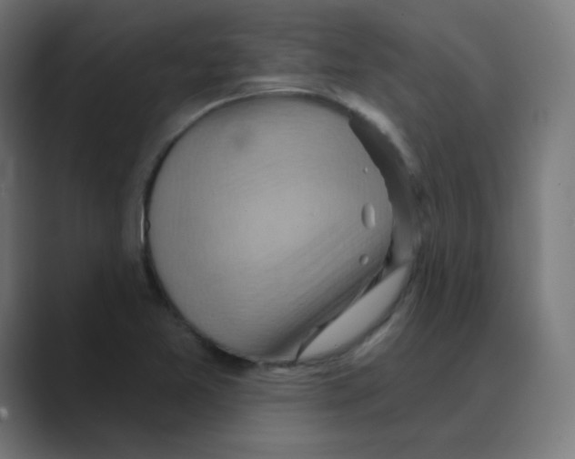 X0000088491365200706191417