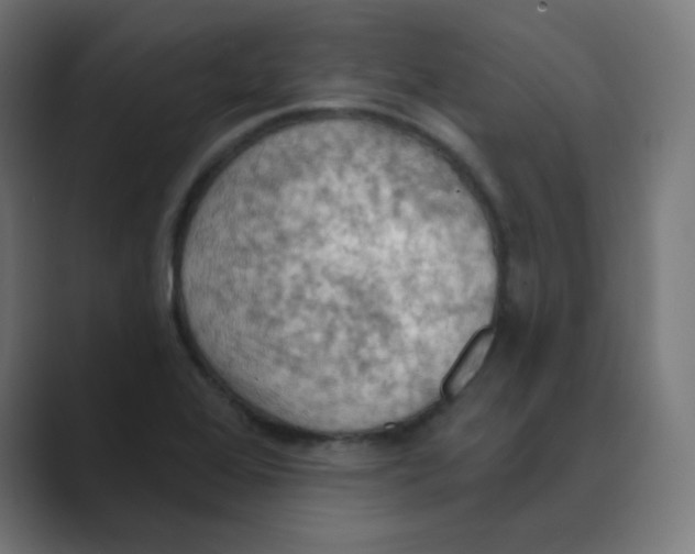 X0000088491368200706191417
