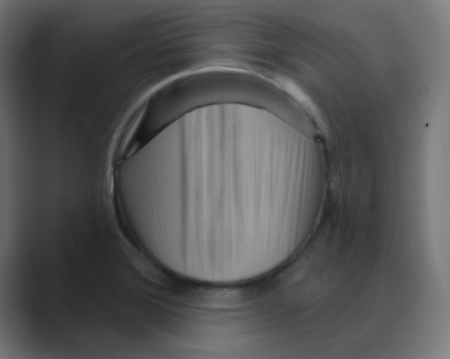 X0000088491372200706191417