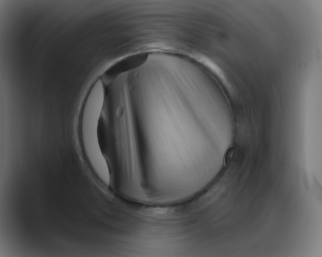 X0000088491373200706191417
