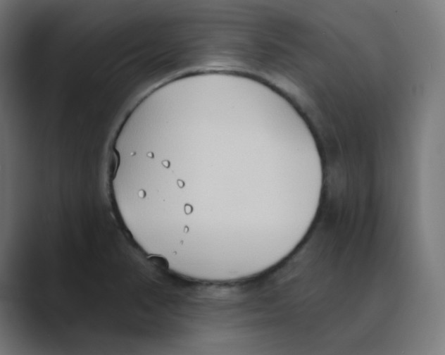 X0000088491374200706191417