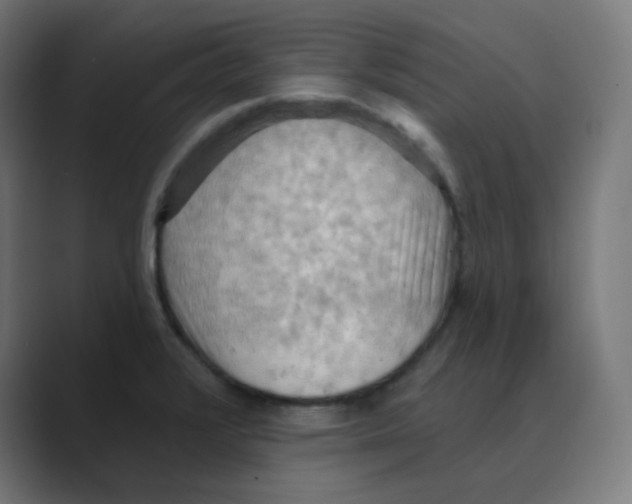 X0000088491376200706191417