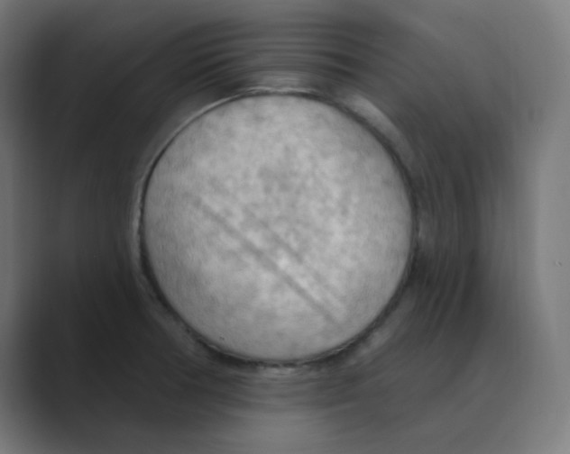 X0000088491378200706191417