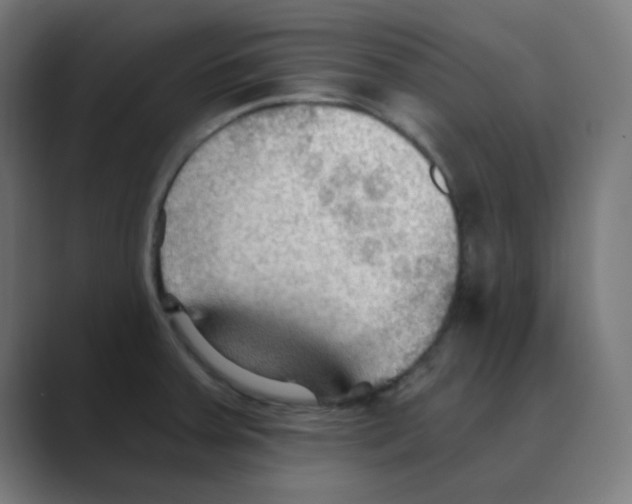 X0000088491379200706191417