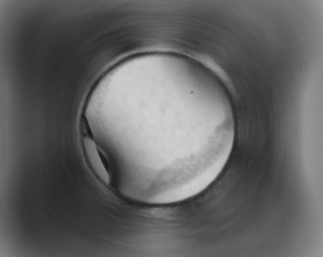 X0000088491380200706191417