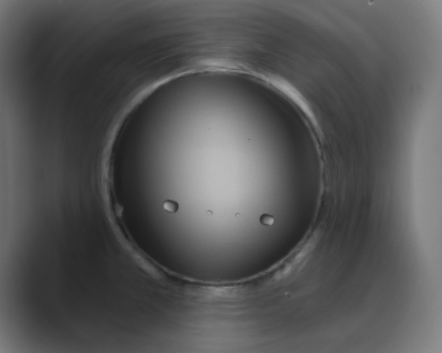 X0000088491381200706191417