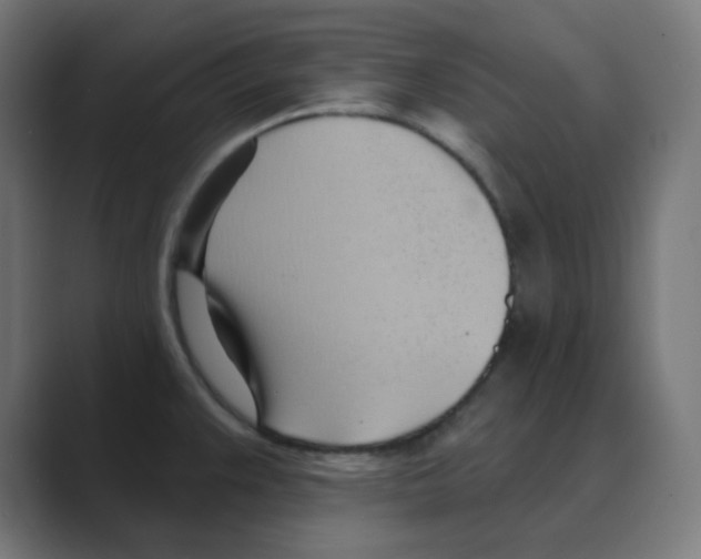 X0000088491383200706191417