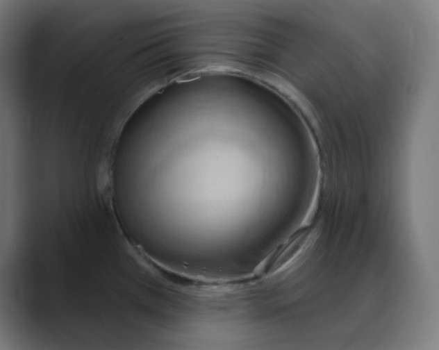 X0000088491385200706191417