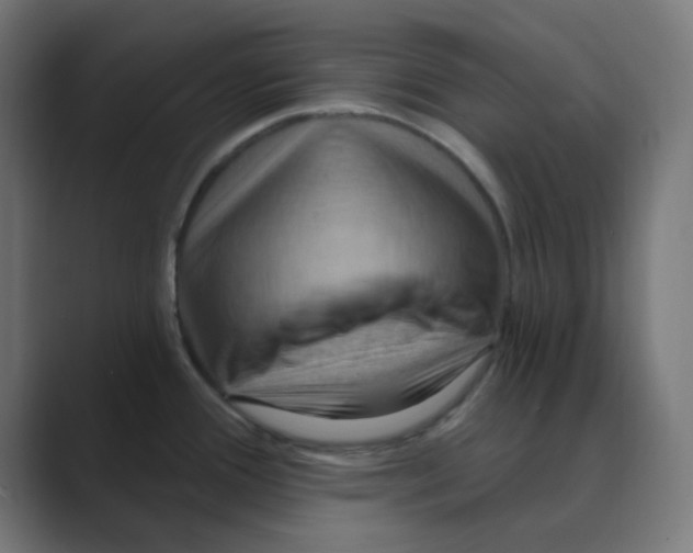 X0000088491388200706191417
