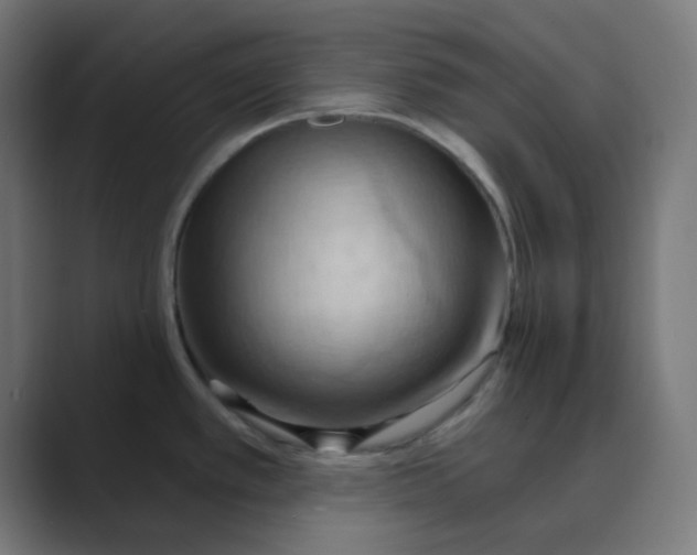 X0000088491389200706191416