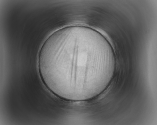 X0000088491390200706191416