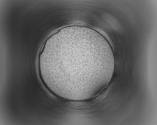 X0000088491391200706191416