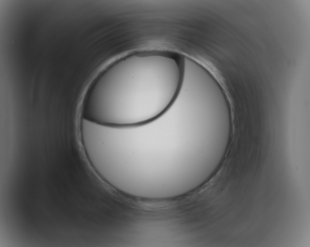 X0000088491392200706191416