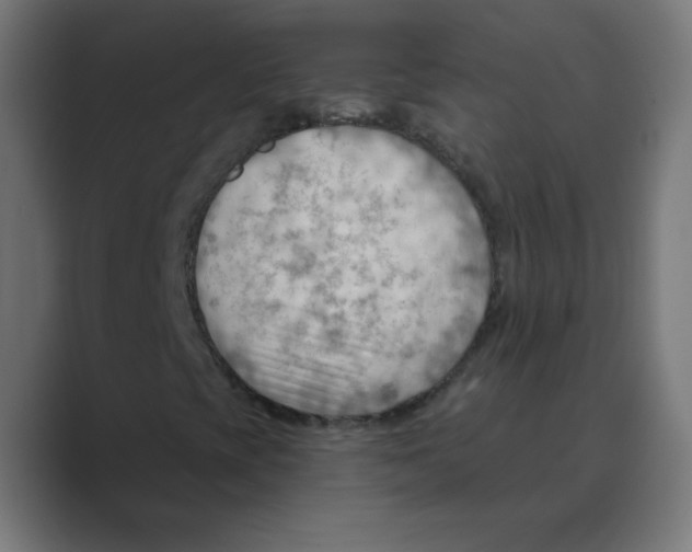 X0000088491393200706191416