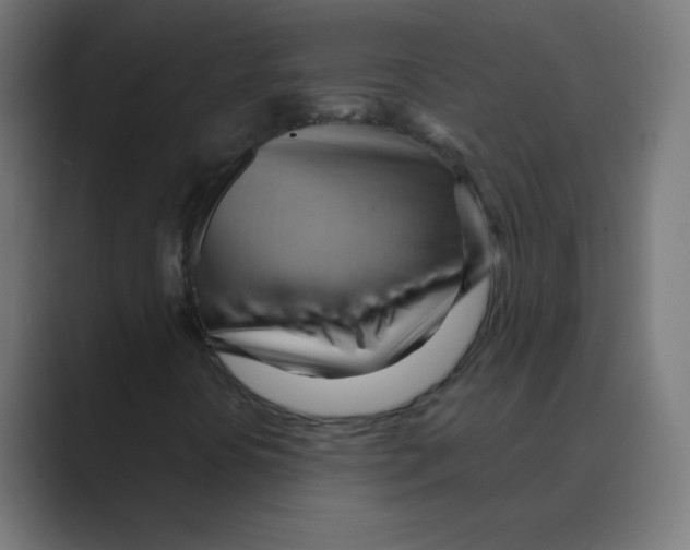 X0000088491394200706191416