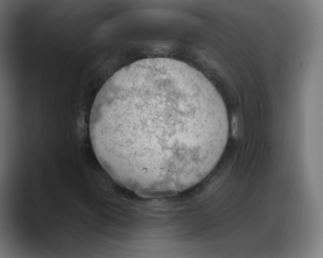 X0000088491395200706191416