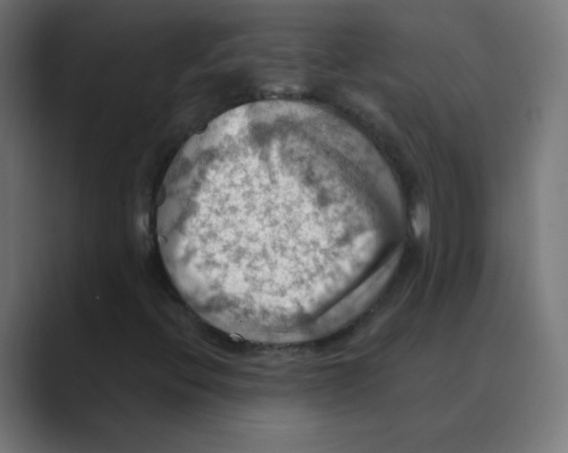 X0000088491396200706191416