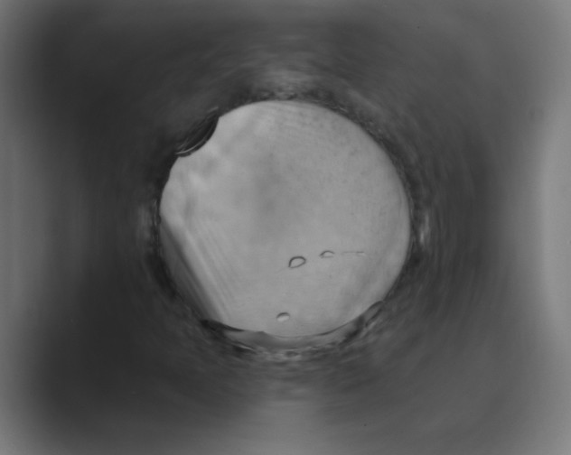 X0000088491397200706191416
