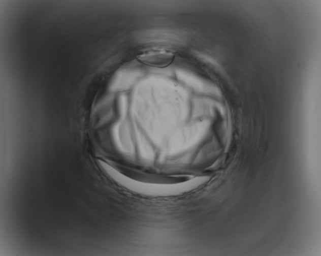X0000088491399200706191416