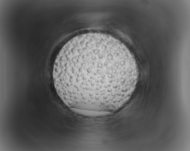 X0000088491400200706191416