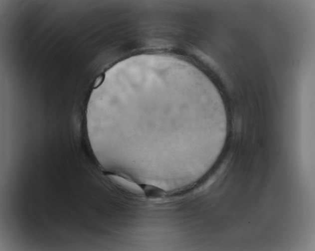 X0000088491401200706191416
