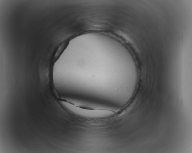 X0000088491402200706191416