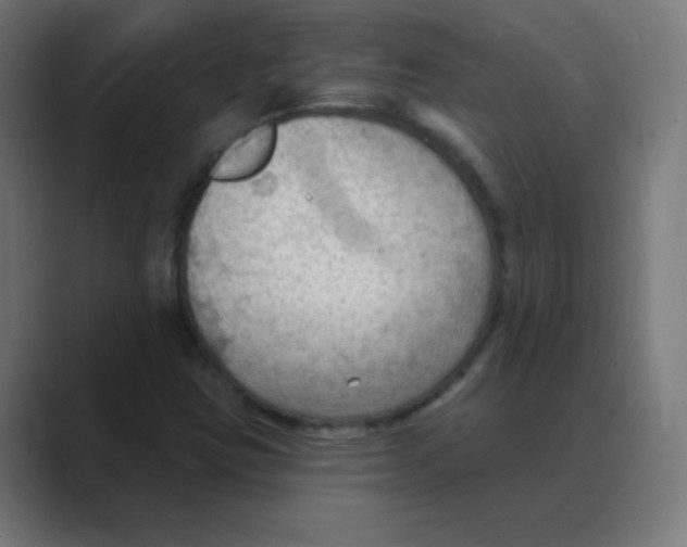 X0000088491403200706191416