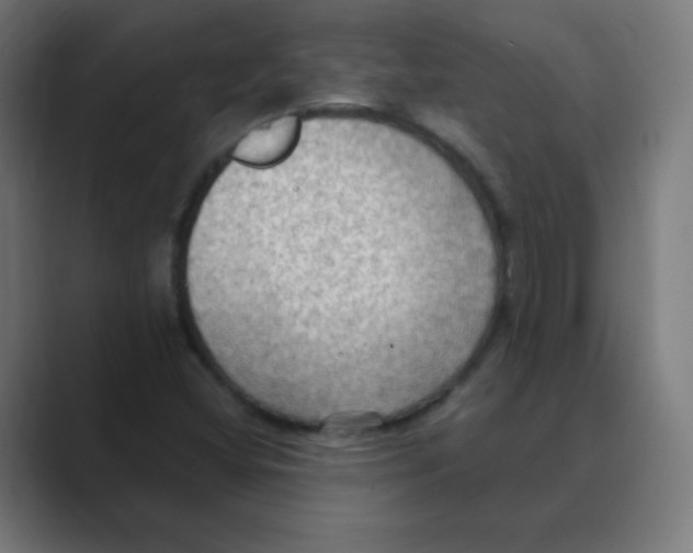 X0000088491404200706191416