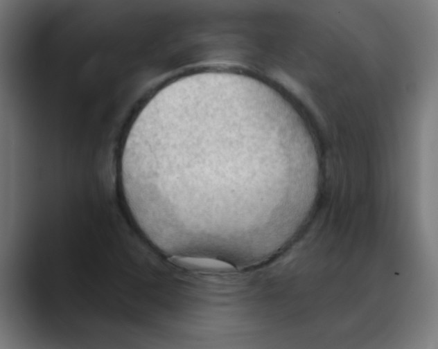 X0000088491408200706191416