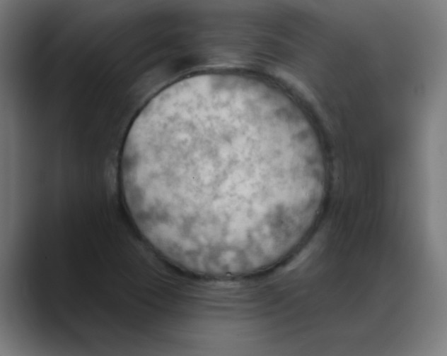 X0000088491409200706191416