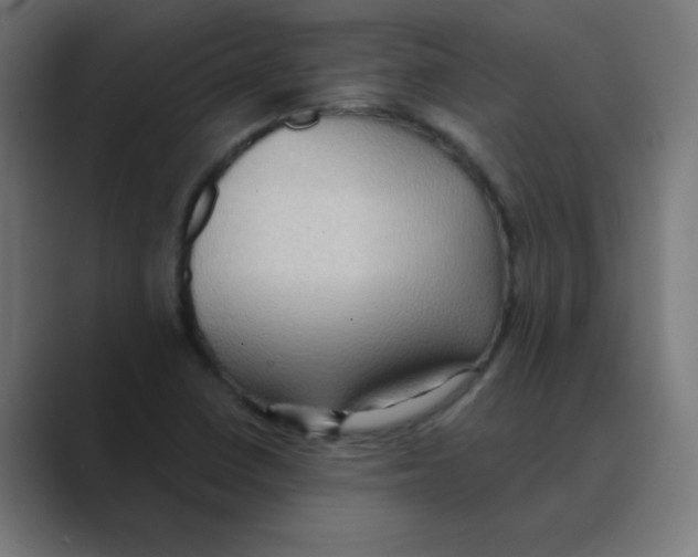 X0000088491410200706191416