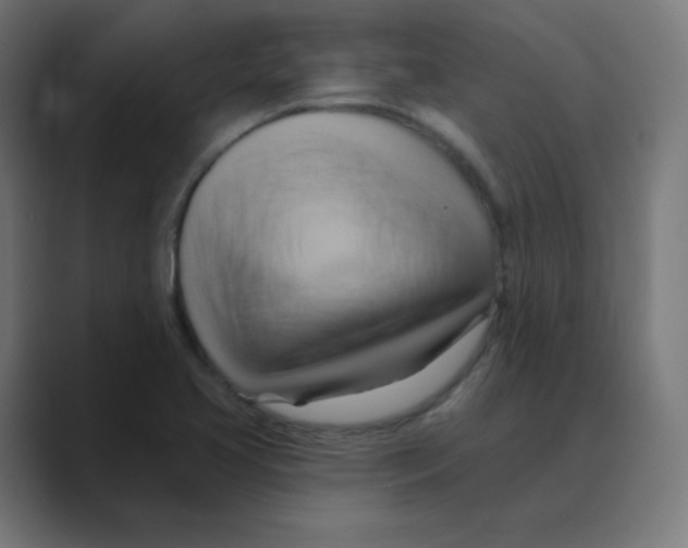 X0000088491413200706191416
