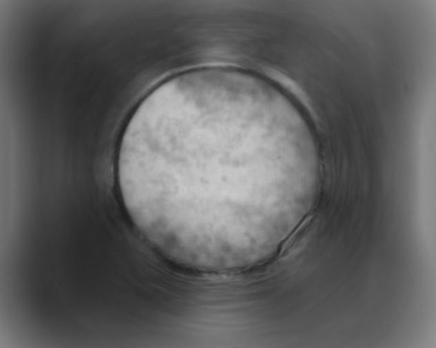 X0000088491415200706191416