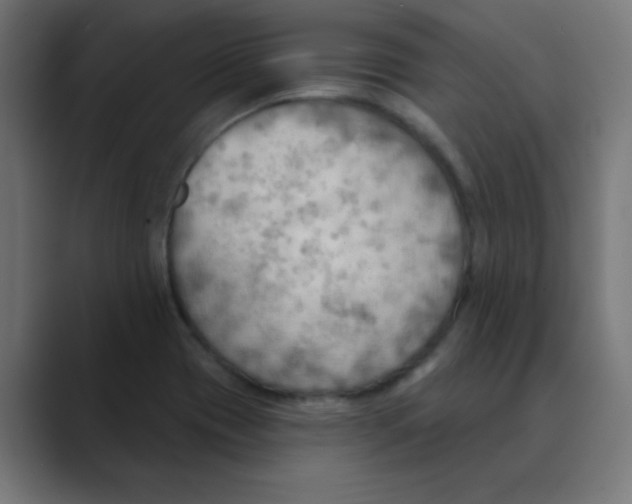 X0000088491417200706191416