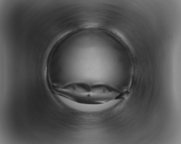 X0000088491418200706191416