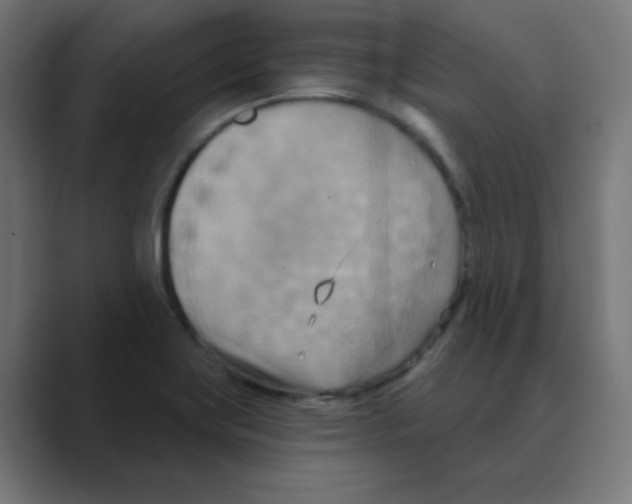 X0000088491419200706191416