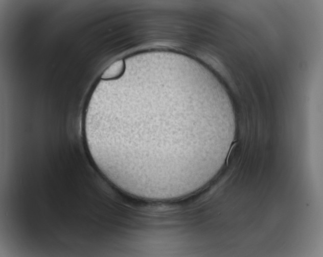 X0000088491420200706191416